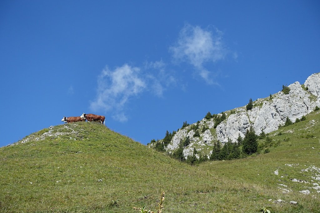 Salavène, Lac d'Arvouin, Sevan, Col d'Outanne, Col de Sevan, Torgon (22.08.2017)