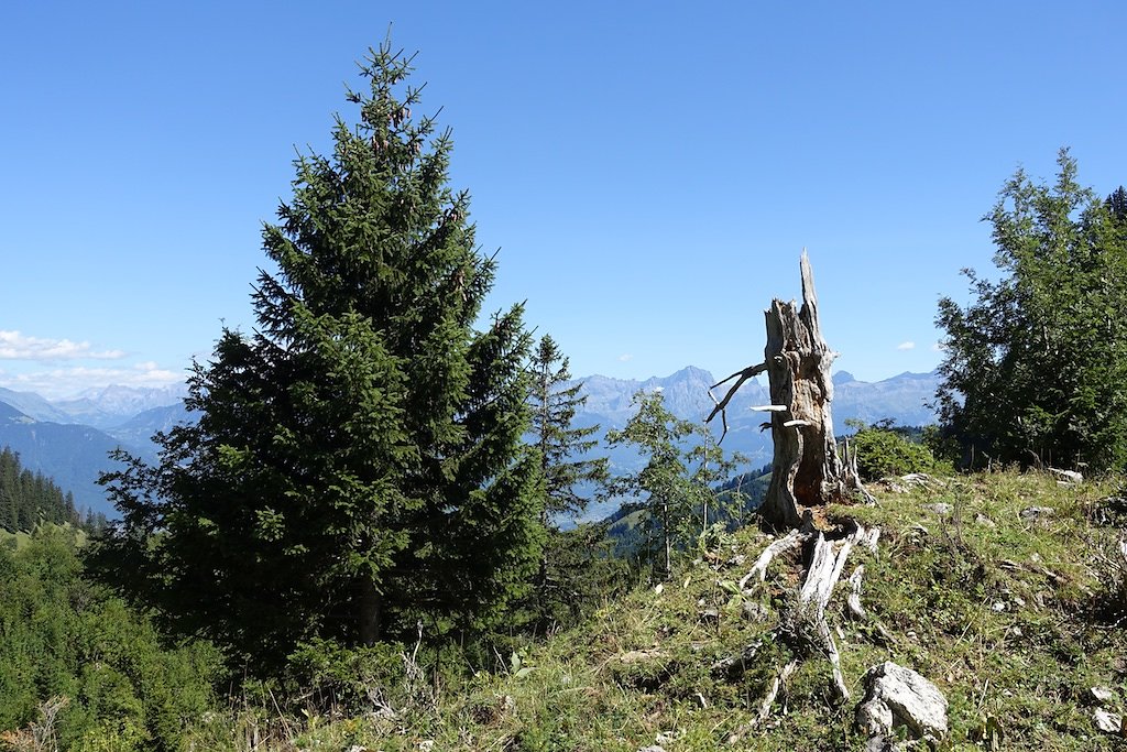 Salavène, Lac d'Arvouin, Sevan, Col d'Outanne, Col de Sevan, Torgon (22.08.2017)