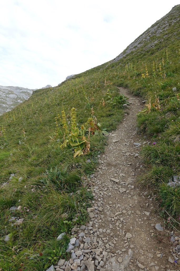 Pas de Maimbré, La Selle, Cabane des Audannes, Serin, Anzère (27.08.2017)