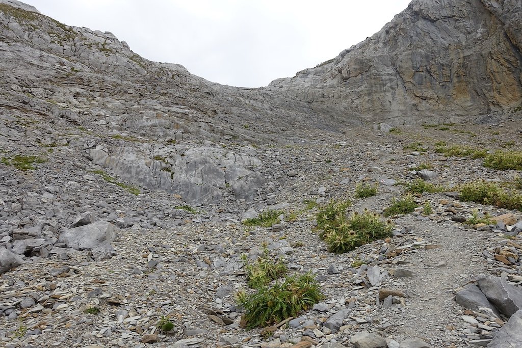 Pas de Maimbré, La Selle, Cabane des Audannes, Serin, Anzère (27.08.2017)