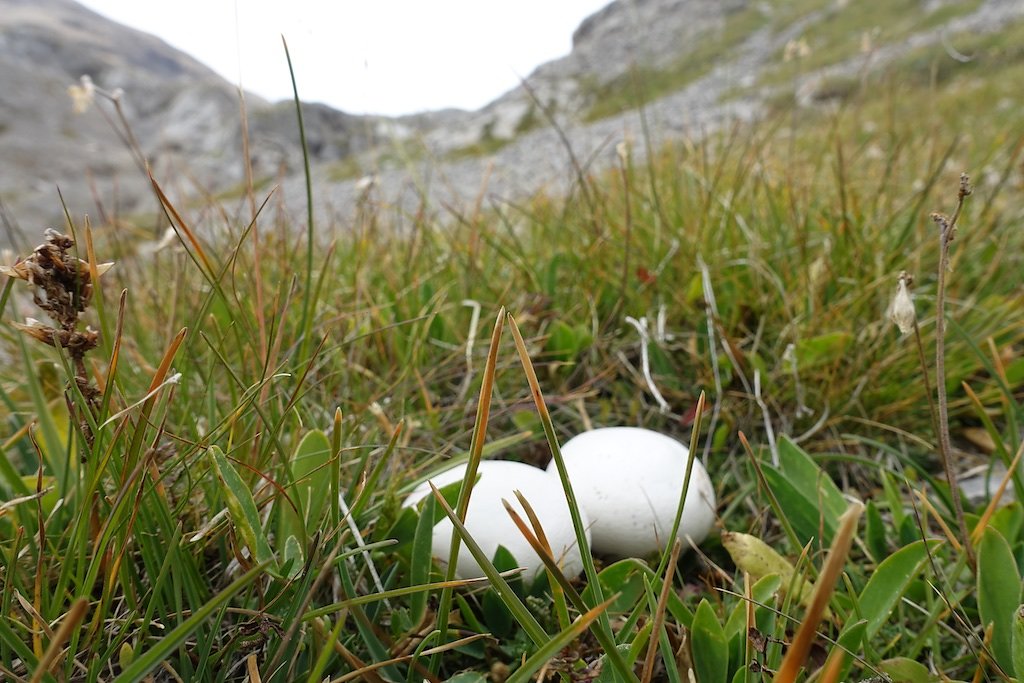 Pas de Maimbré, La Selle, Cabane des Audannes, Serin, Anzère (27.08.2017)