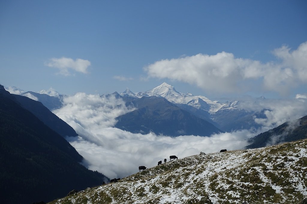 Lauchernalp - Lötschepasshütte - Kummenalp - Lauchernalp (03.09.2017)