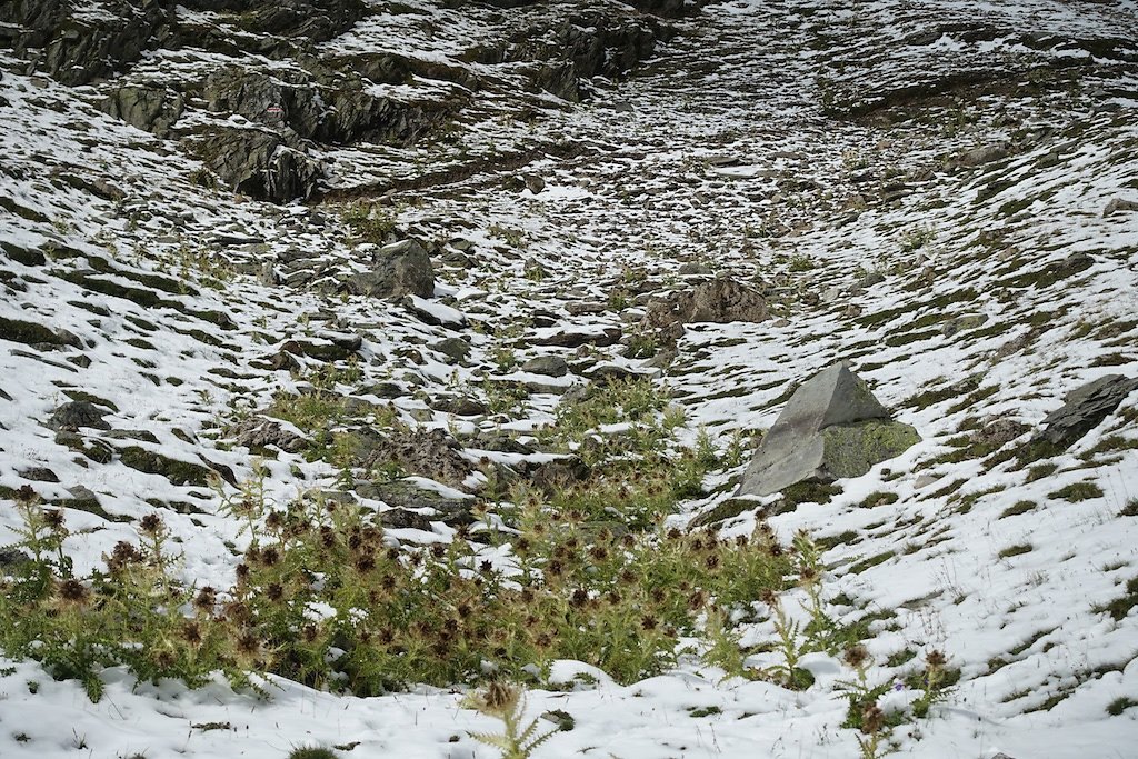 Lauchernalp - Lötschepasshütte - Kummenalp - Lauchernalp (03.09.2017)