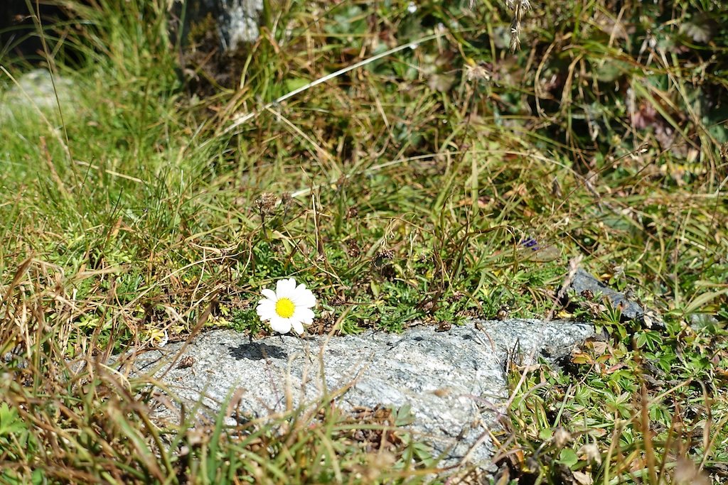 Cabane de Valsorey et Vélan (07-08.09.2017)