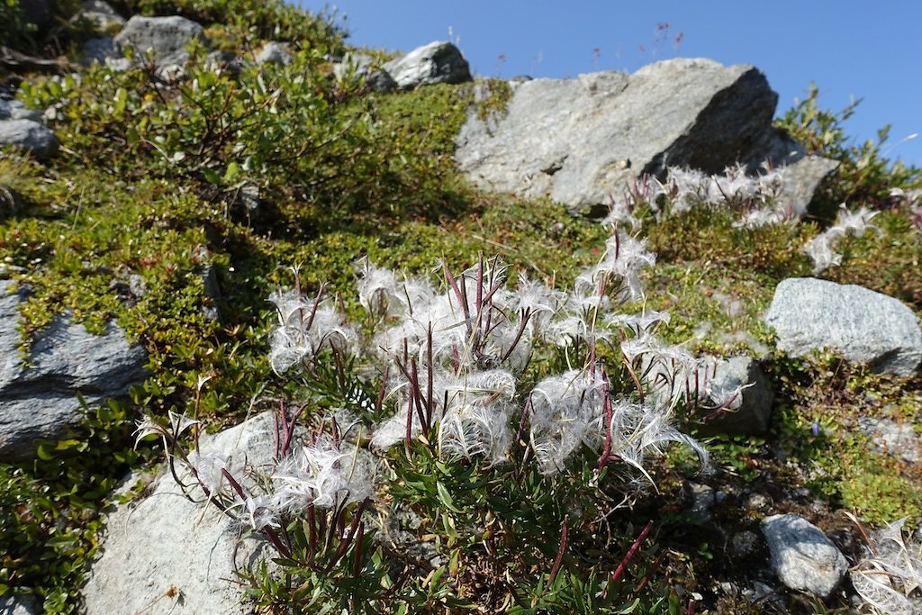 Cabane de Valsorey et Vélan (07-08.09.2017)