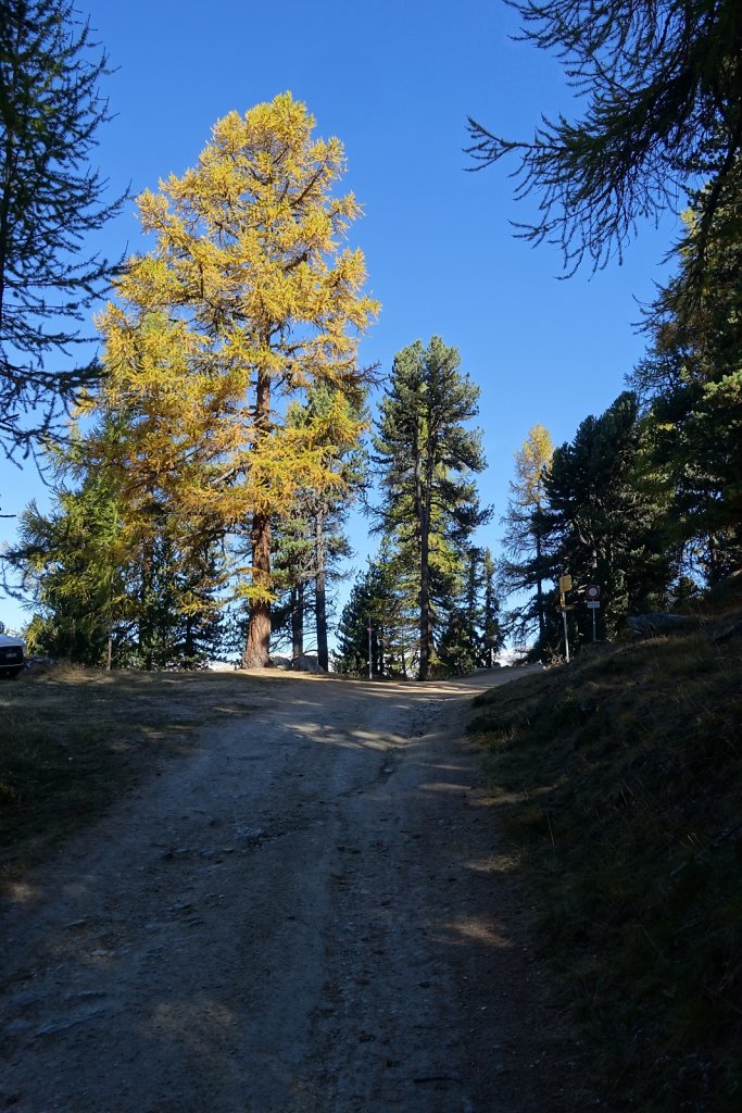 Chandolin, Pas de l'Illsee, Waschsee, Illsee, Lac noir, Illpass, La Grande Remointse, Chandolin (07.10.2017)