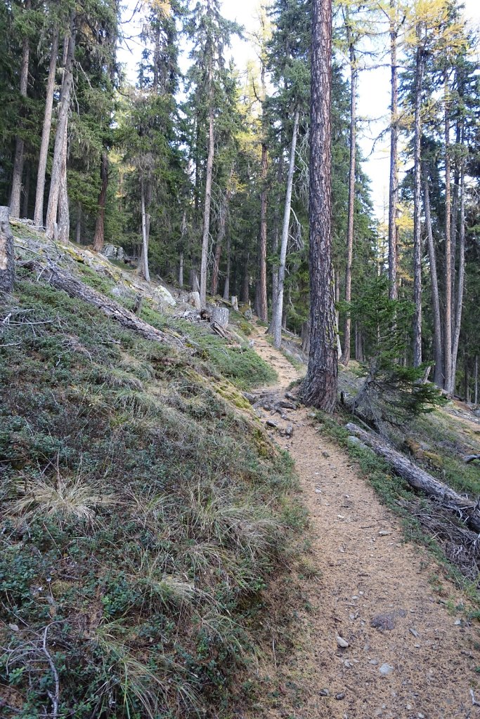Blatten, Tellialp, Schwarzsee, Fafleralp, Eisten (28.10.2017)