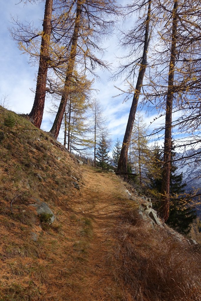 Blatten, Tellialp, Schwarzsee, Fafleralp, Eisten (28.10.2017)