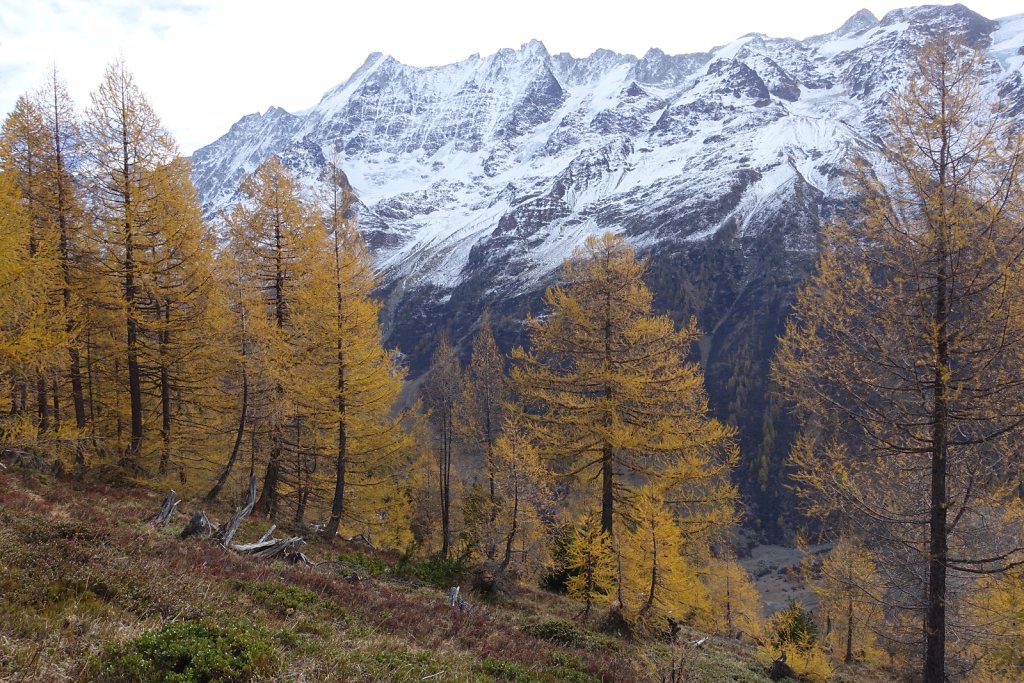 Blatten, Tellialp, Schwarzsee, Fafleralp, Eisten (28.10.2017)