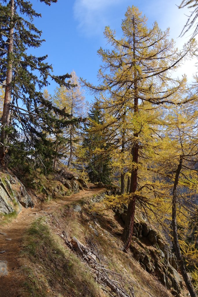 Blatten, Tellialp, Schwarzsee, Fafleralp, Eisten (28.10.2017)