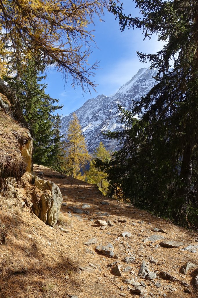 Blatten, Tellialp, Schwarzsee, Fafleralp, Eisten (28.10.2017)