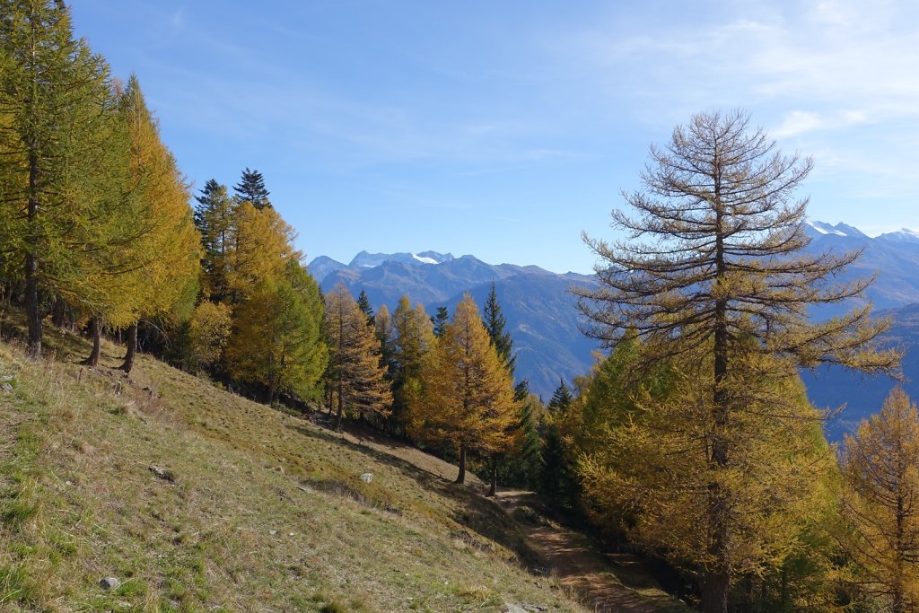 Hohtenn, Ladu, Spilbielalpji, Joli, Tatz