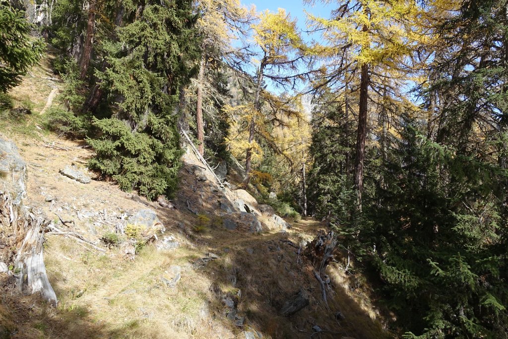 Hohtenn, Ladu, Spilbielalpji, Joli, Tatz