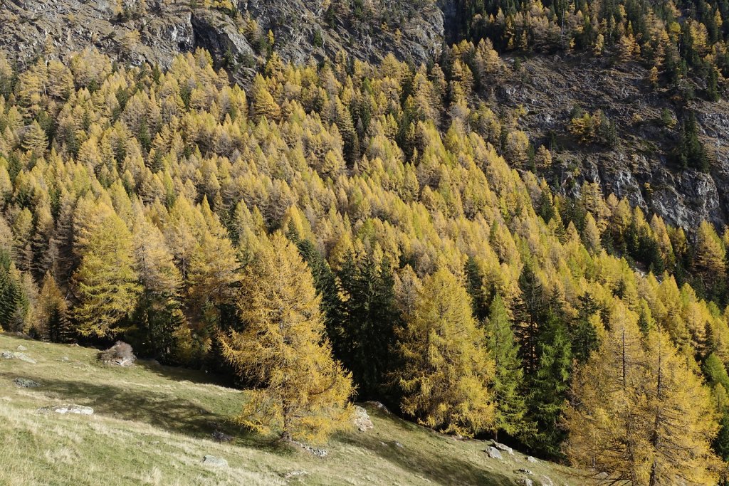 Hohtenn, Ladu, Spilbielalpji, Joli, Tatz