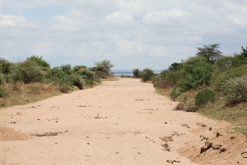 Tanzanie (2017)