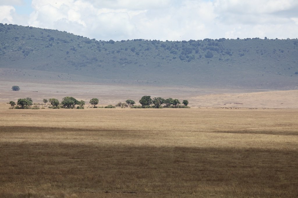 Tanzanie (2017)