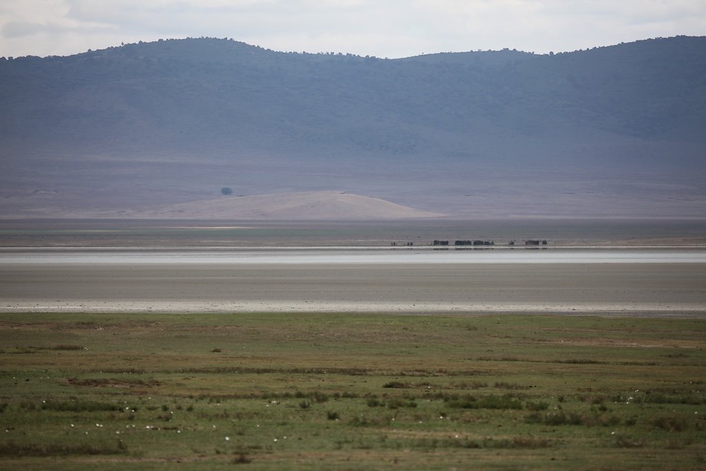 Tanzanie (2017)