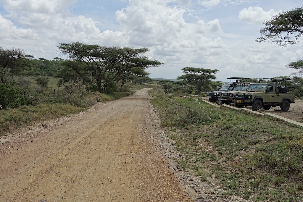 Tanzanie (2017)