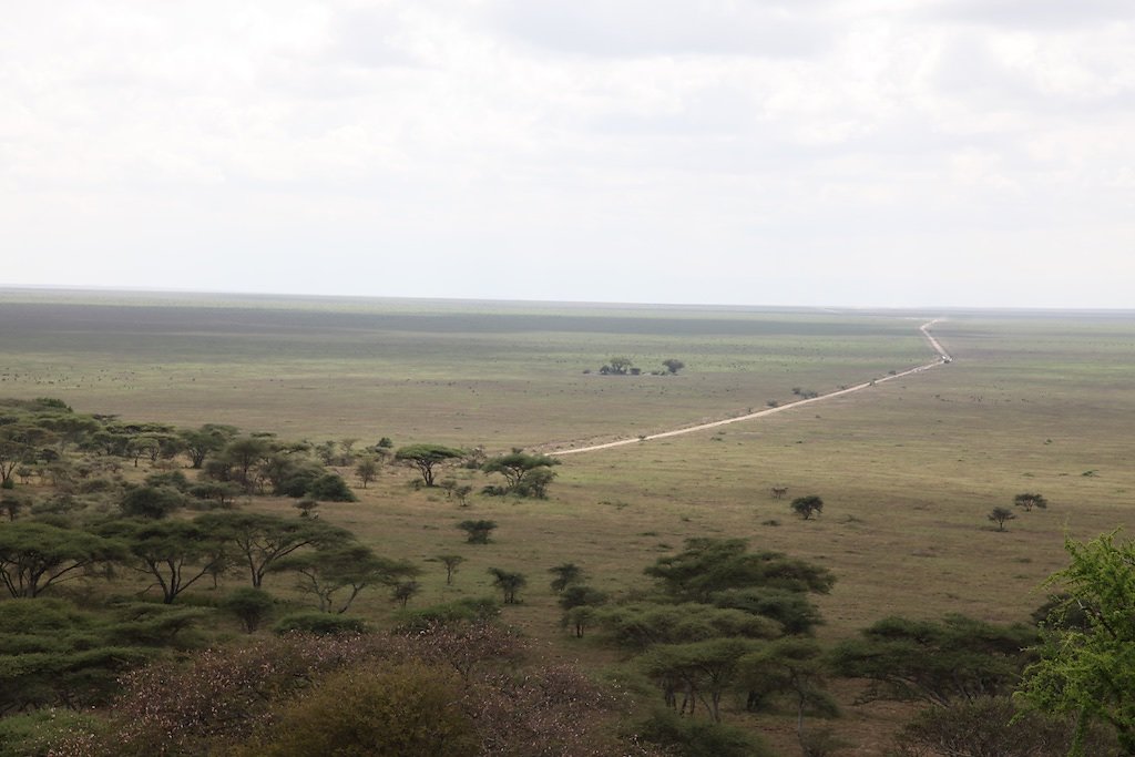 Tanzanie (2017)