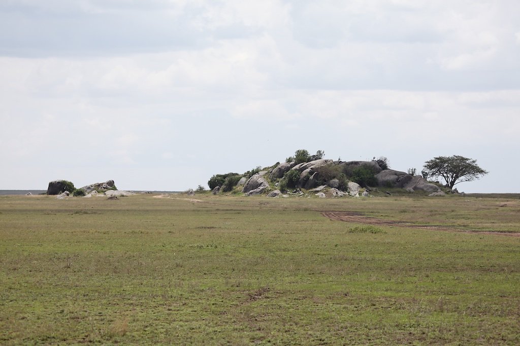 Tanzanie (2017)