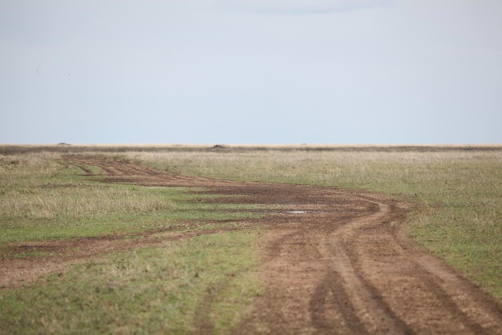 Tanzanie (2017)