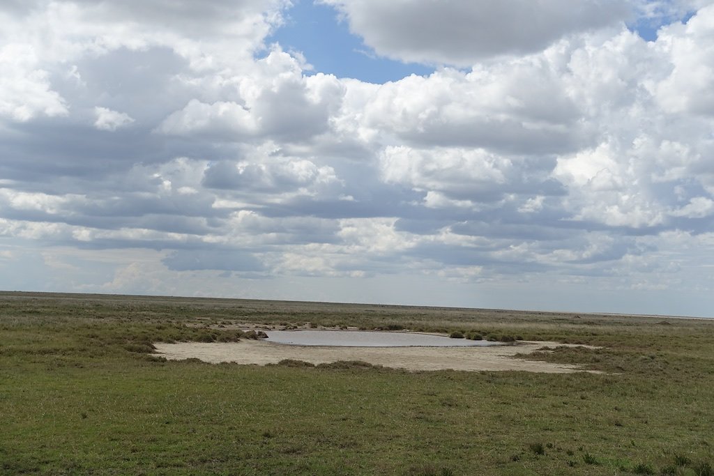 Tanzanie (2017)