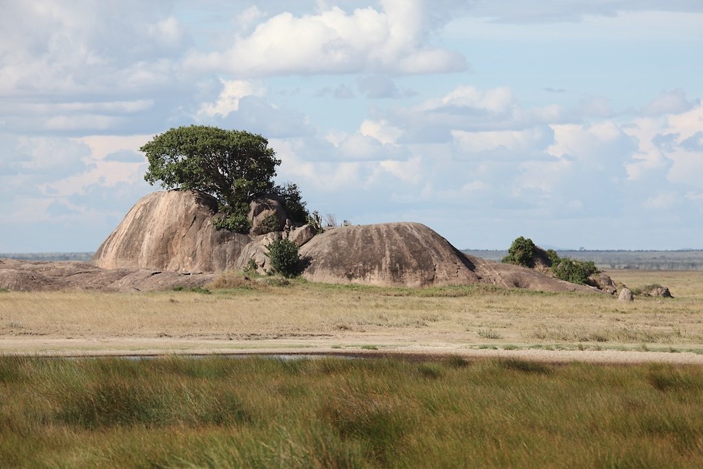 Tanzanie (2017)