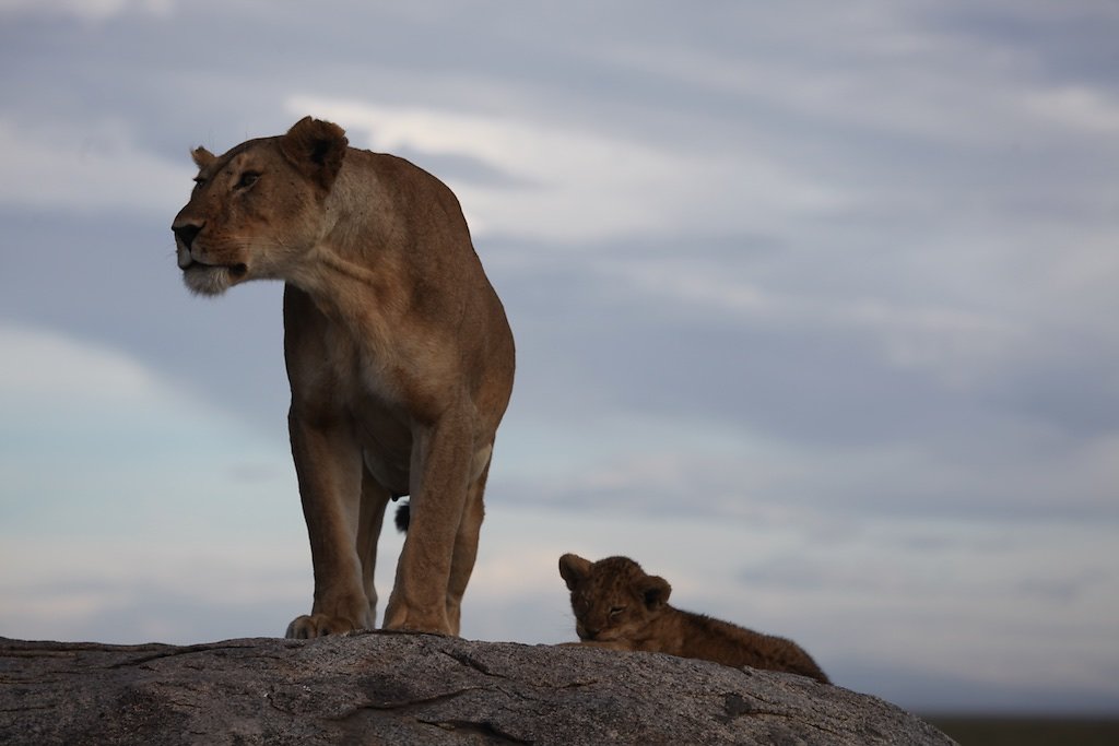 Tanzanie (2017)