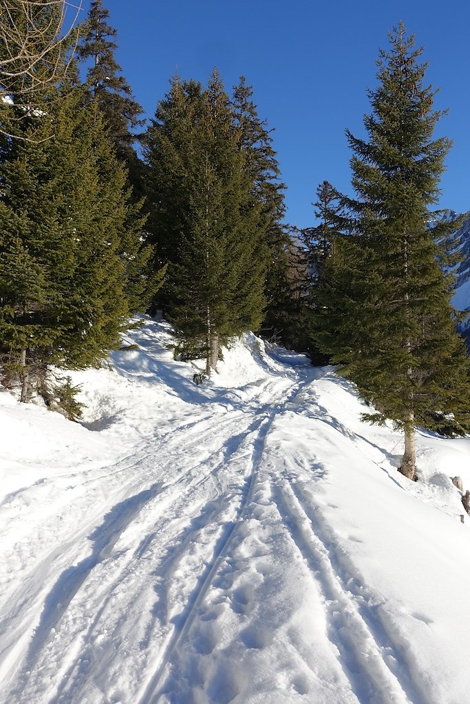 Le Torgneu, Le Pointet - Mayens de My (24.12.2017)