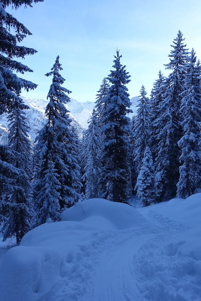 Cabane Brunet (29.12.2017)