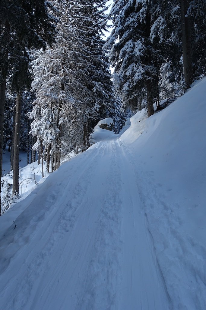 Cabane Brunet (29.12.2017)
