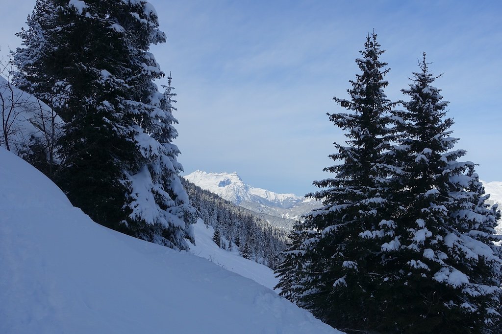 Cabane Brunet (29.12.2017)