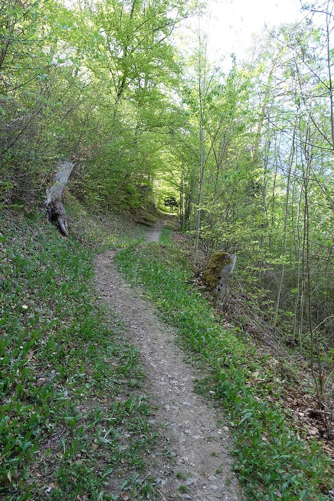 Martigny-Croix, Les Ecoteaux, Chemin-Dessus, Haut de Bovernier, Martigny-Croix (21.04.2018)