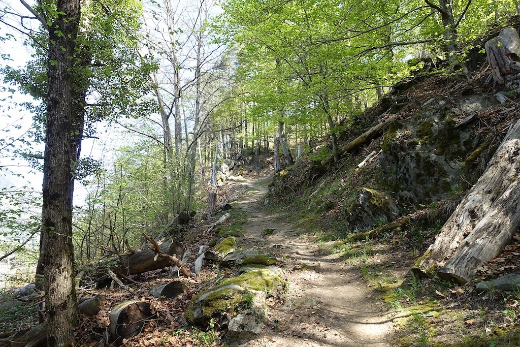 Martigny-Croix, Les Ecoteaux, Chemin-Dessus, Haut de Bovernier, Martigny-Croix (21.04.2018)