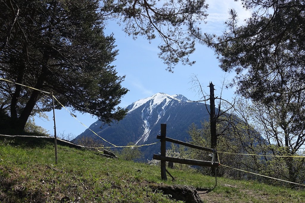 Martigny-Croix, Les Ecoteaux, Chemin-Dessus, Haut de Bovernier, Martigny-Croix (21.04.2018)