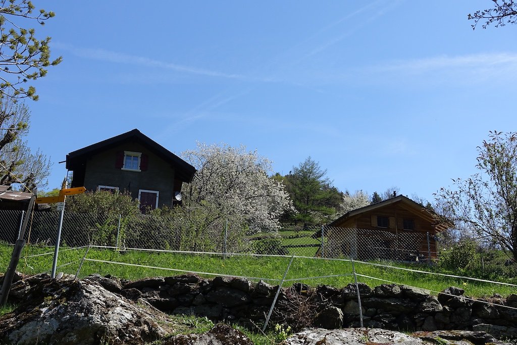 Martigny-Croix, Les Ecoteaux, Chemin-Dessus, Haut de Bovernier, Martigny-Croix (21.04.2018)