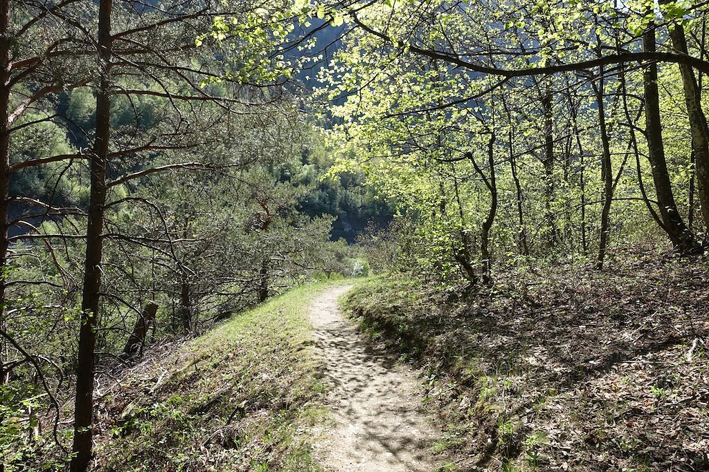 Martigny-Croix, Les Ecoteaux, Chemin-Dessus, Haut de Bovernier, Martigny-Croix (21.04.2018)