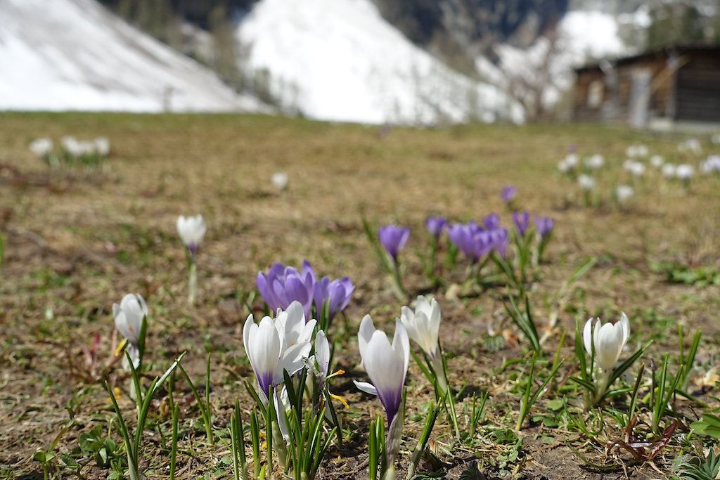 Gorges du Dailley - Vallon de Van (28.04.2018)