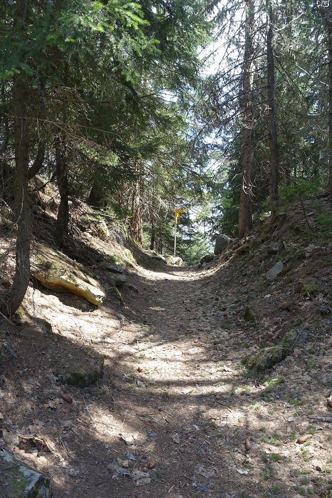 Gorges du Dailley - Vallon de Van (28.04.2018)