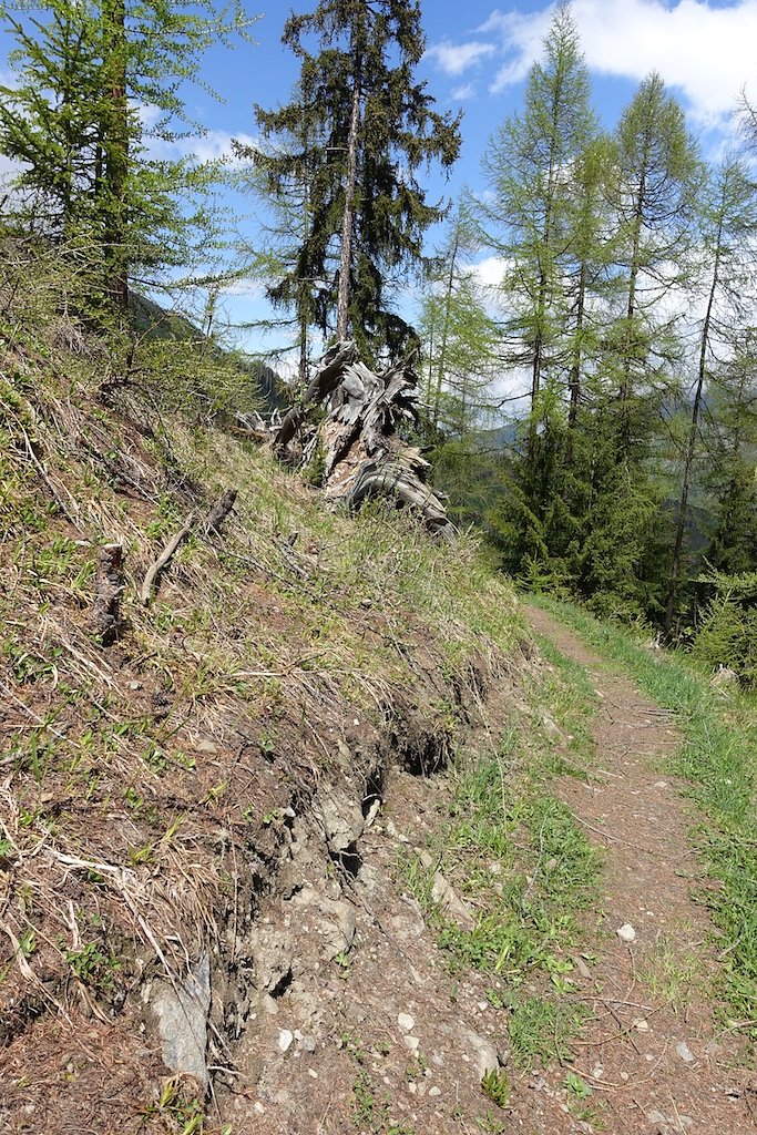 Evolène - Les Haudères - Farquèses - La Giette - Lac d'Arbey - Evolène (13.05.2018)