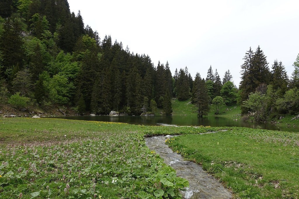 Col de Jaman, Dent de Jaman (26.05.2018)