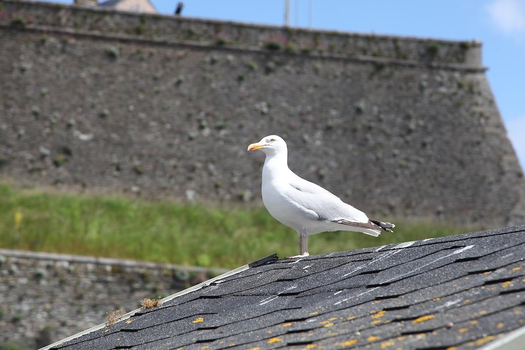 Bretagne (2018)