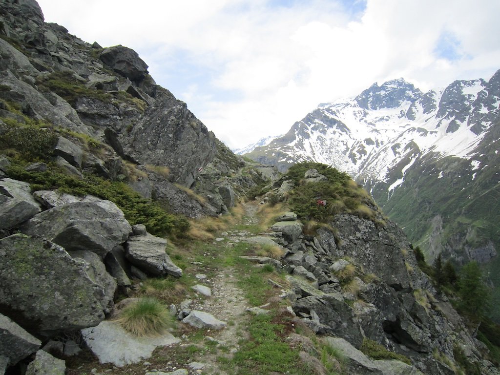 Bonatschiesse, Ecurie du Cret, Ecurie du Vasevay (10.06.2018)