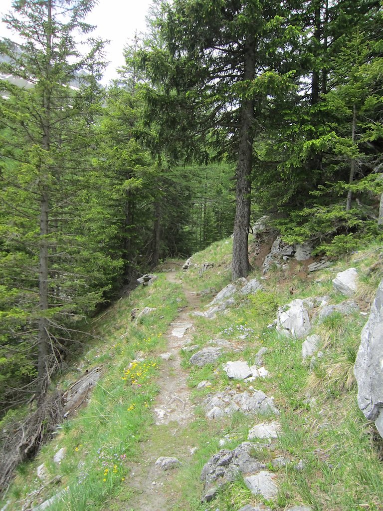 Bonatschiesse, Ecurie du Cret, Ecurie du Vasevay (10.06.2018)