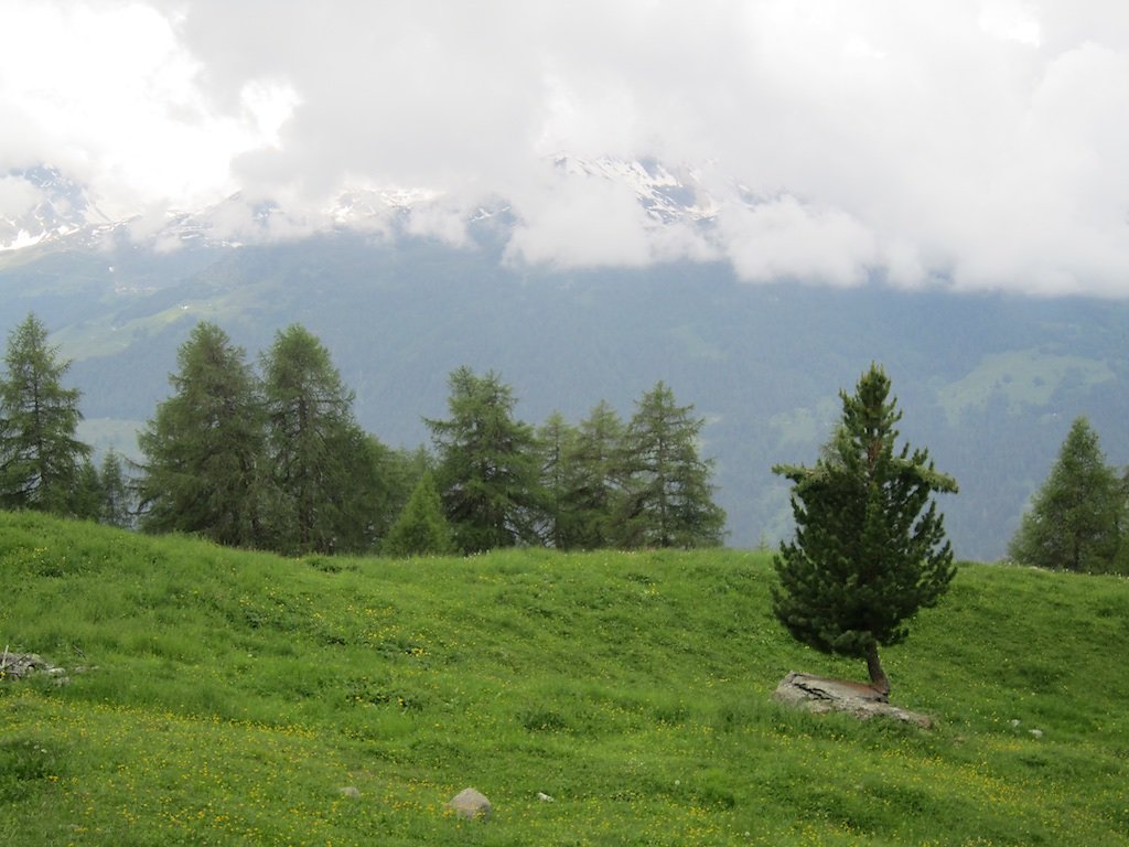 St-Luc, Hôtel Weisshorn (17.06.2018)