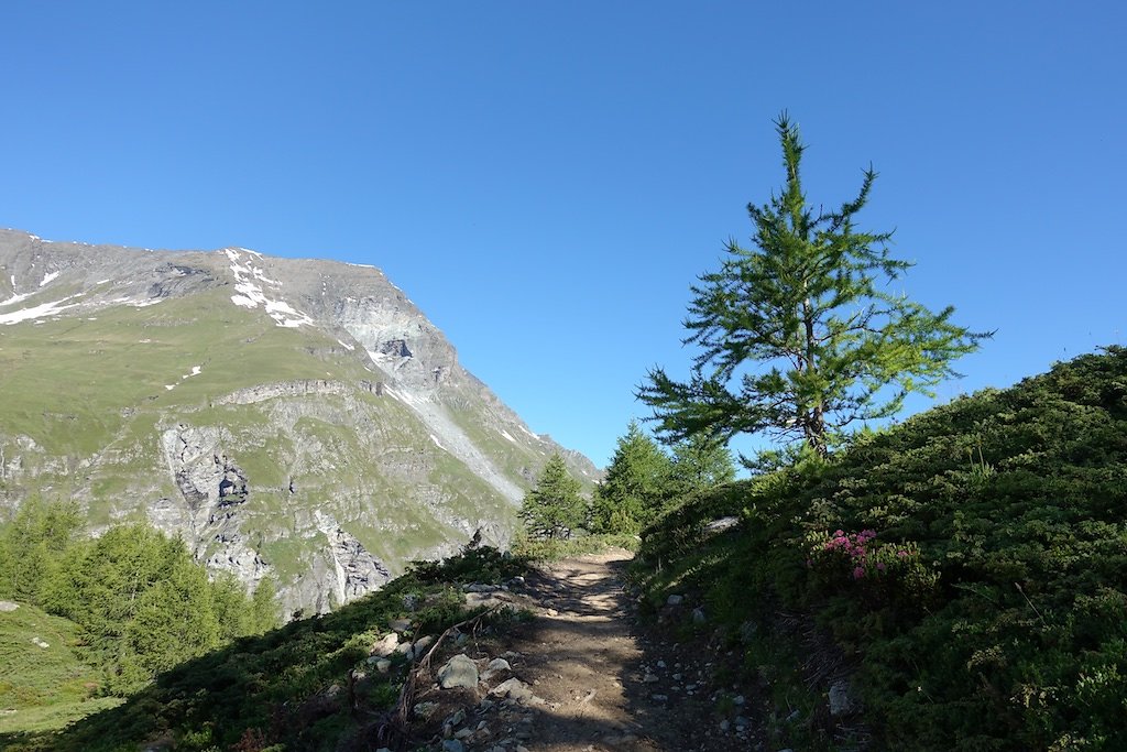 Zinal - Cabane Arpitettaz (30.06.2018)