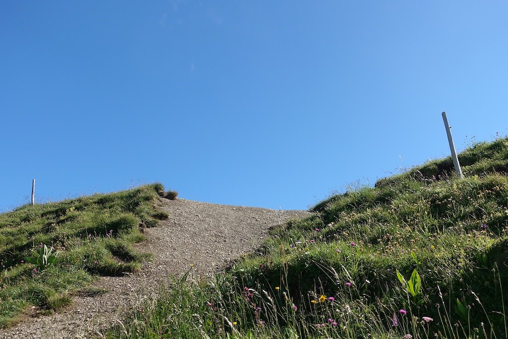 Le Flon, Lac de Taney, Le Grammont et Alamont (07.07.2018)