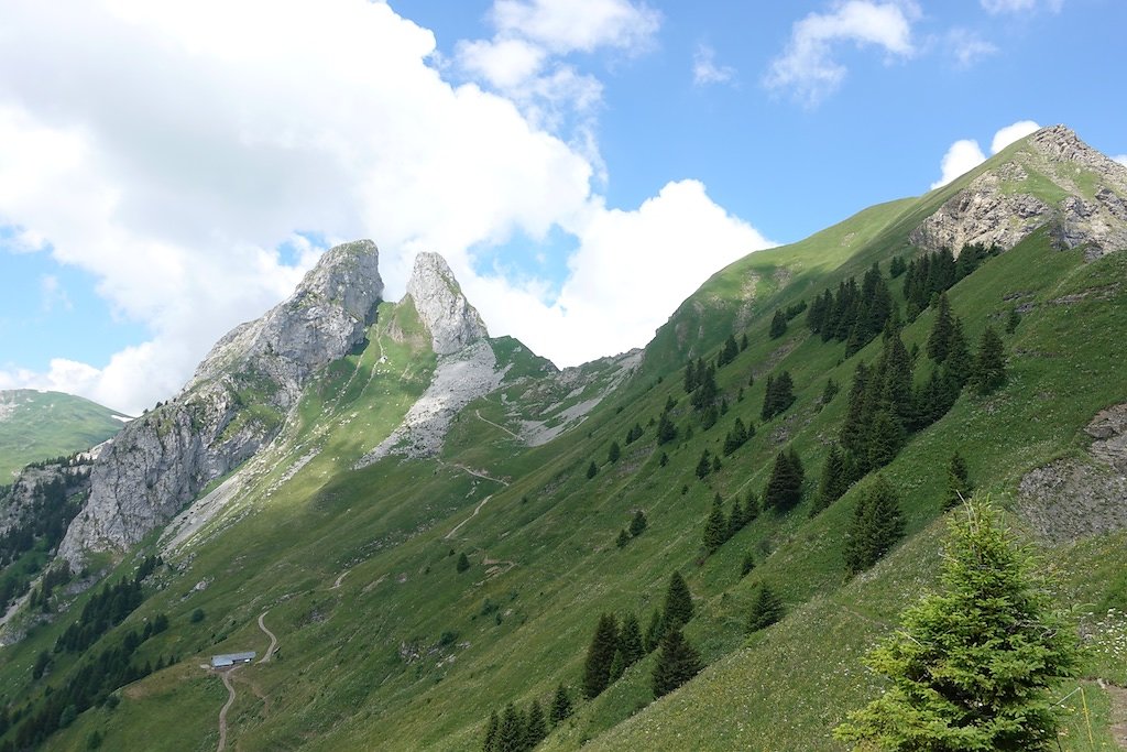 Le Flon, Lac de Taney, Le Grammont et Alamont (07.07.2018)