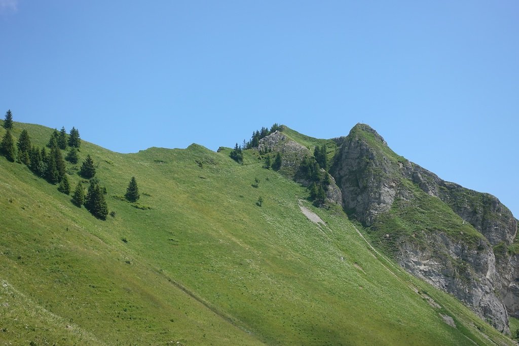 Le Flon, Lac de Taney, Le Grammont et Alamont (07.07.2018)