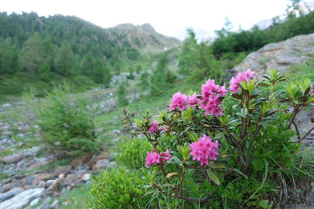 Bietschhornhütte, Lötschental (08.07.2018)